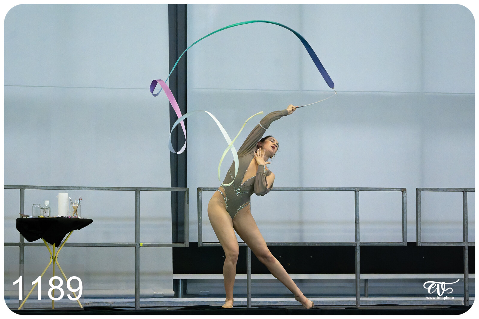 CHAMPIONNAT DE FRANCE DE NATATiON ARTISTIQUE N1 & ELITE 2026